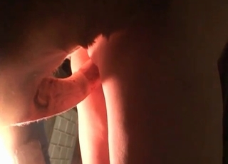 Hardcore zoophilic sex on camera