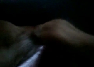 Dog cock is getting pleasured here