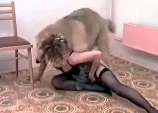 Horny dog serviced by a nylons-wearing slut