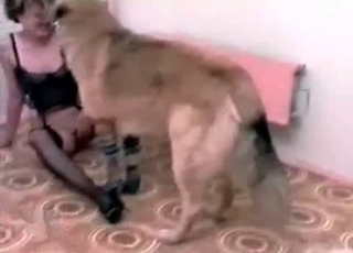 Horny dog serviced by a nylons-wearing slut