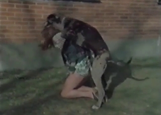 Seductive pig fucked by a farmer