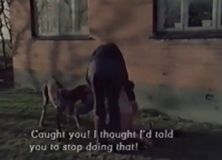 Seductive pig fucked by a farmer