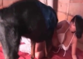 Seductive dog enjoying hardcore fucking