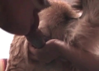 Twisted puppy fucks a masked MILF