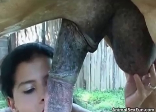 Bestiality blowjob from a horny brunette