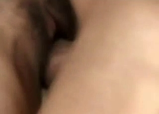 Horse enjoying sex in missionary