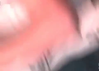 Animal cock sucked by a masked bitch