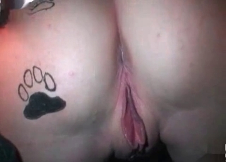 Animal cock sucked by a masked bitch