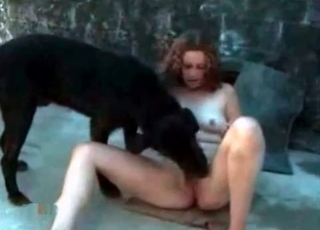 Black dog enjoying this cunnilingus session