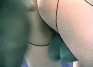Great creampie by a horny dog