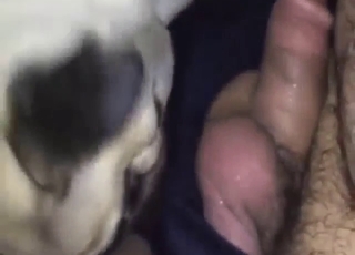 Zoophile POV scene with a hairy-dicked mofo