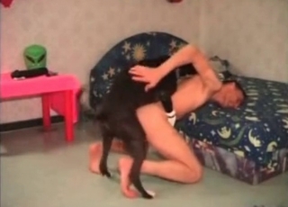 Prostate massage with a dog's cock