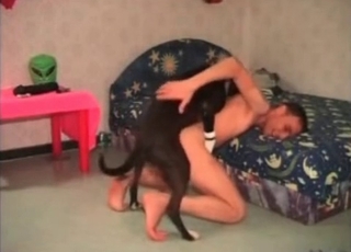 Prostate massage with a dog's cock