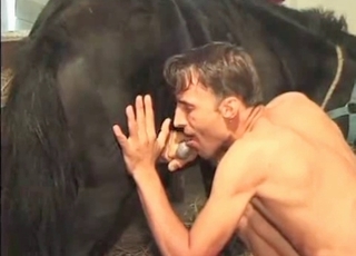 Horse gets to cum thanks to this gay dude