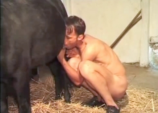 Horse gets to cum thanks to this gay dude