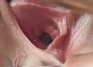 Tight pussy wrecked by a horny dg