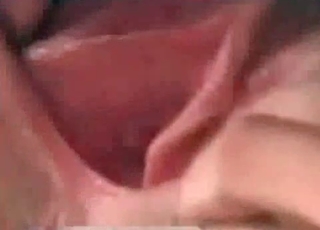 Tight pussy wrecked by a horny dg