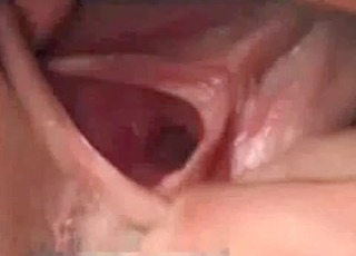 Tight pussy wrecked by a horny dg