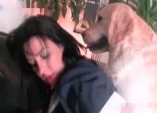 Dark-haired chick fucks a simple dog