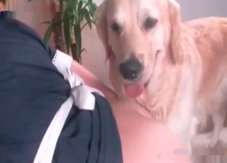 Dark-haired chick fucks a simple dog