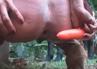 Horse watches her masturbate