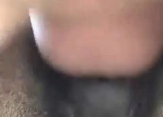 Horse's tight ass gets wrecked on cam