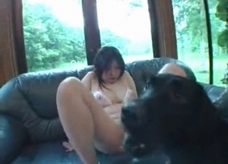 Tight pussy tongue-banged by a dog