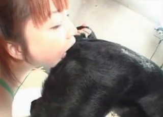 Asian enjoying this puppy's anal hole