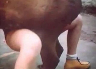 Nasty animal enjoying naughty things