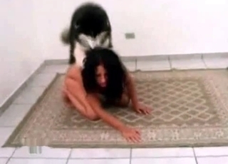 Slutty beauty seducing a horny husky