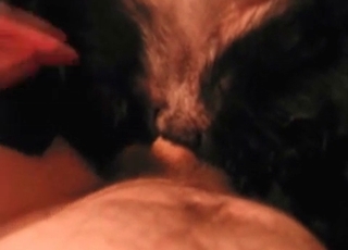 Hard cock for a really horny animal