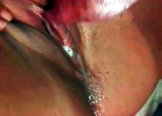 Horny dog loves hardcore sex