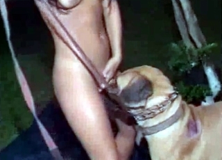 Nighttime bestiality recorded in HD