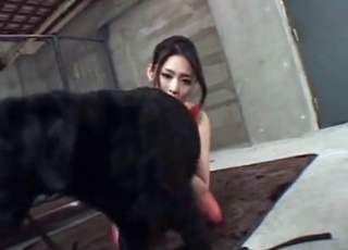 Lusty dog seducing a Japanese beauty