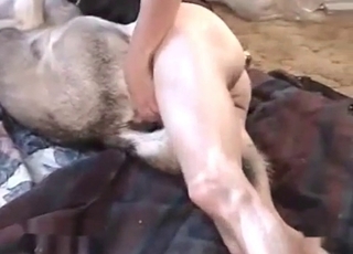 Lovely husky enjoying anal fucking