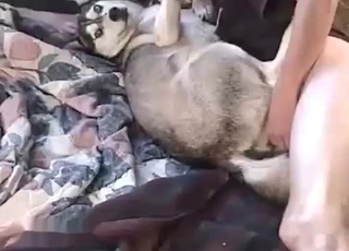 Lovely husky enjoying anal fucking