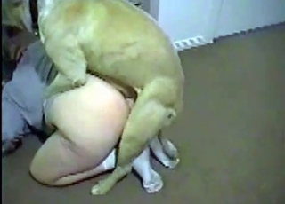 Juicy pussy licked by a mutt
