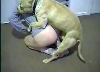 Juicy pussy licked by a mutt
