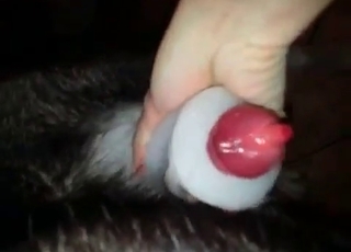 Dog jizz is the best thing ever