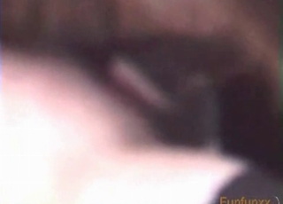 Zoophile babe fucking a brown animal