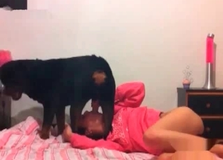 Dirty zoophile face-fucked by a horse