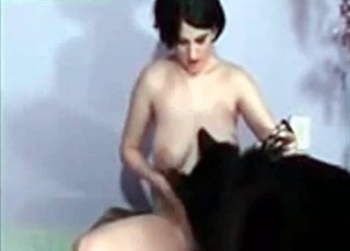 Tiny puppy scores with a busty bitch