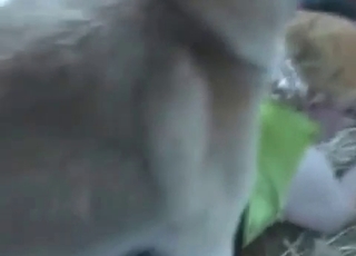 Passionate blowjob for a horny animal