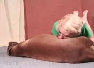 Dog's cock orally pleasured on cam