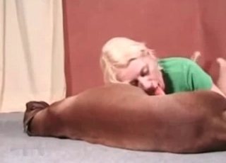 Dog's cock orally pleasured on cam