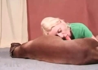 Dog's cock orally pleasured on cam