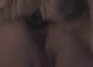 Horny zoophile blonde enjoys bestiality