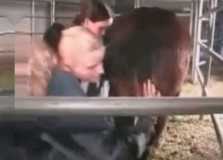 Rimjob for a horny horse, all HD