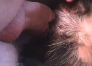 Incredible blowjob by a kinky gay dog