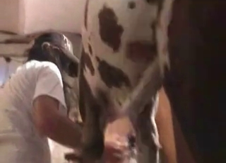 Kinky beast seduced a brunette slut